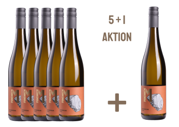 Sauvignon Blanc 5+1 Weihnachtsaktion